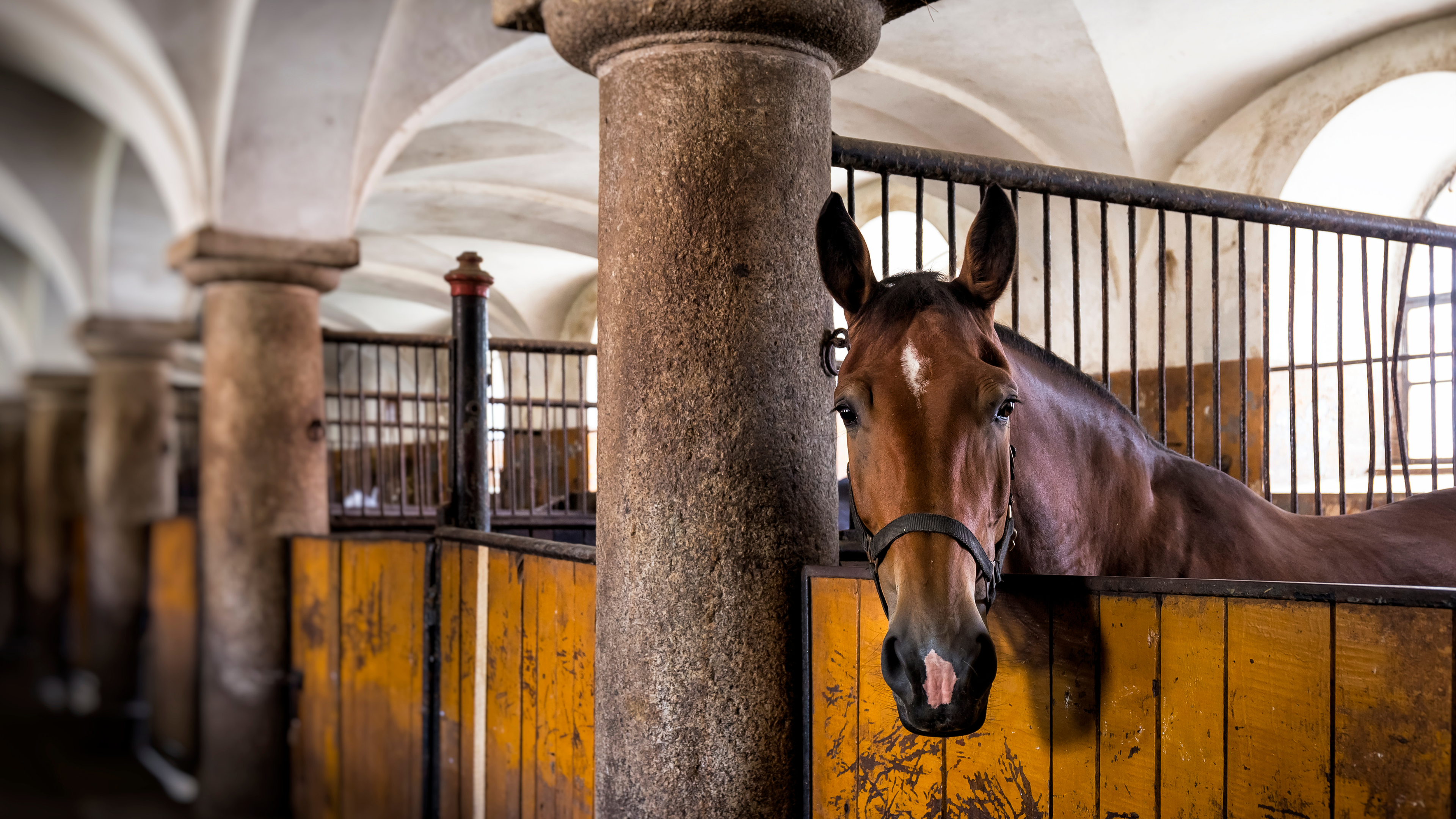 Example stable listing