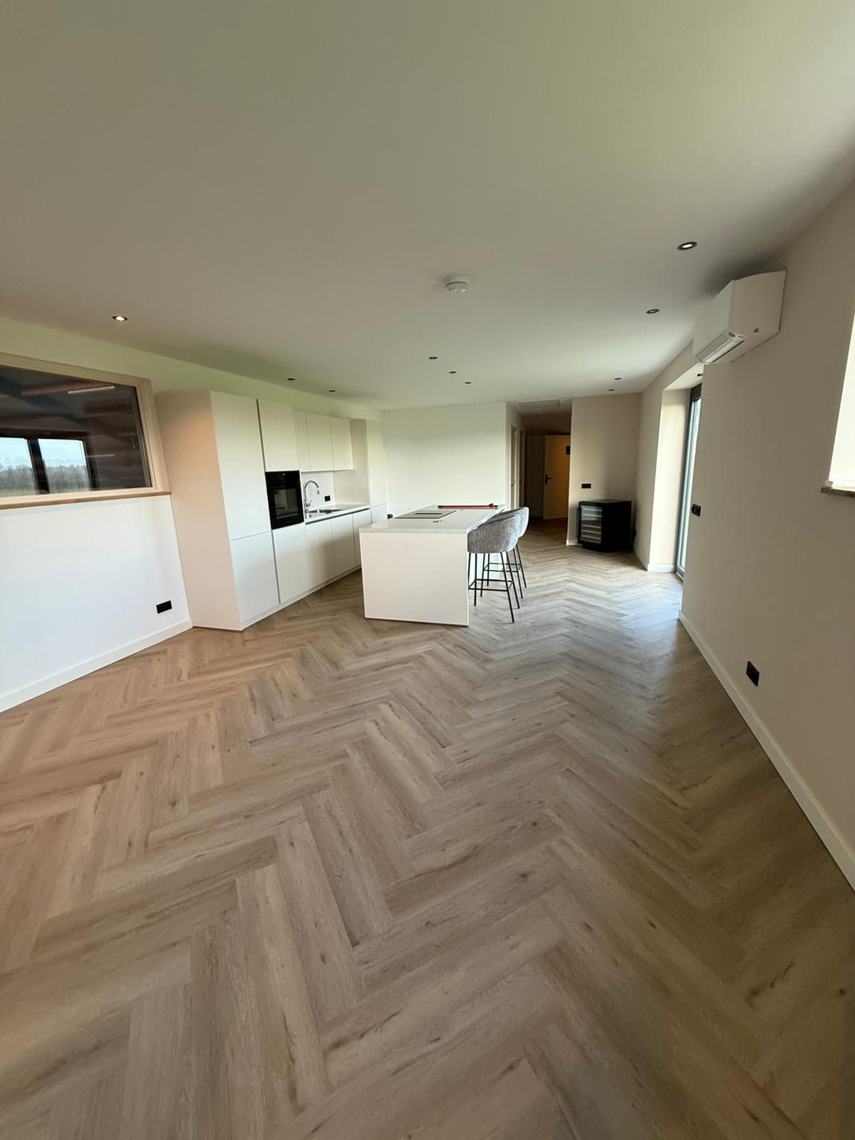 MH Sporthorses - Image 7