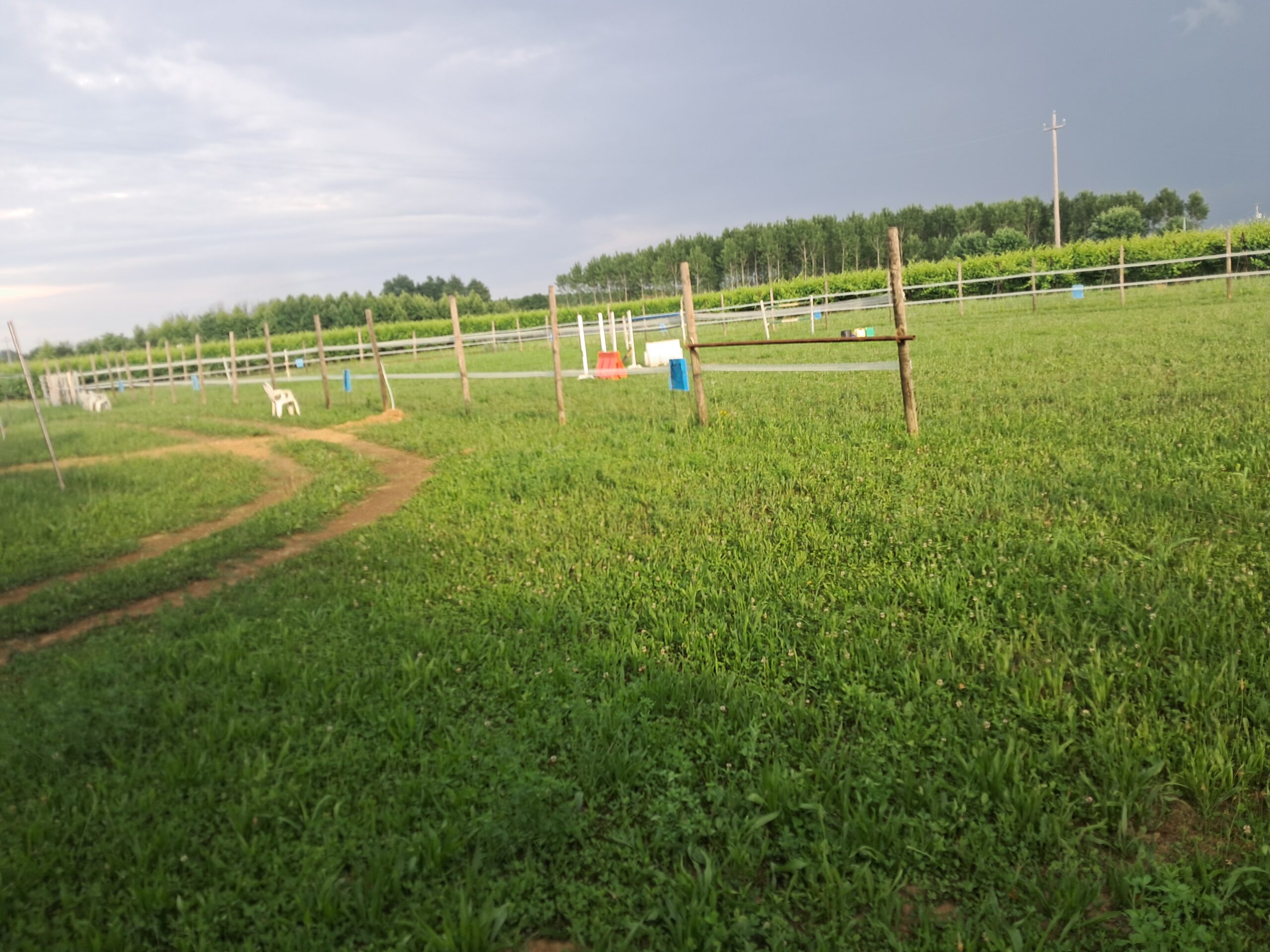 Exclusive Full Property at Royal Horse Club - Perfect for Your Horse's Needs - Image 6
