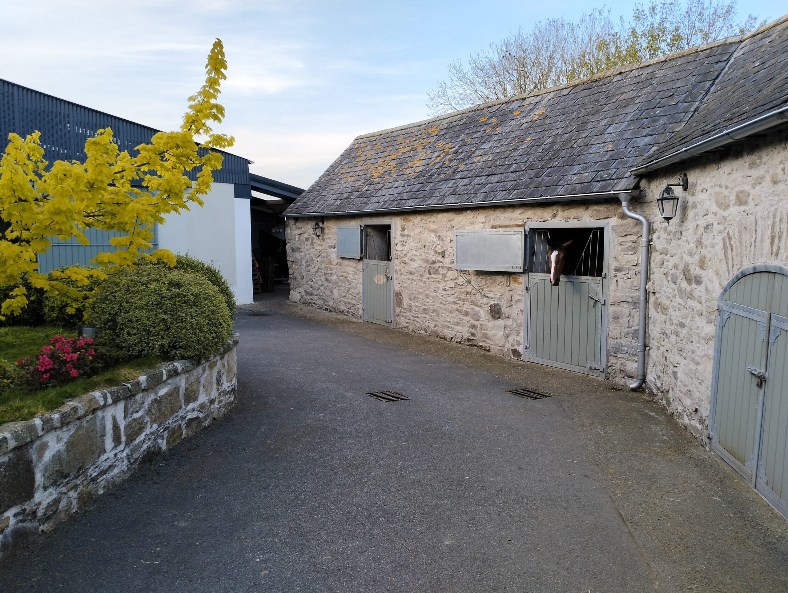 Small stable, maximum care - Image 3
