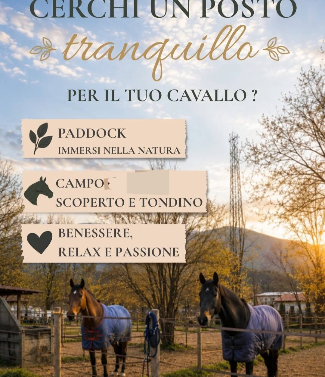Exclusive Full Property at Royal Horse Club - Perfect for Your Horse's Needs - Image 5