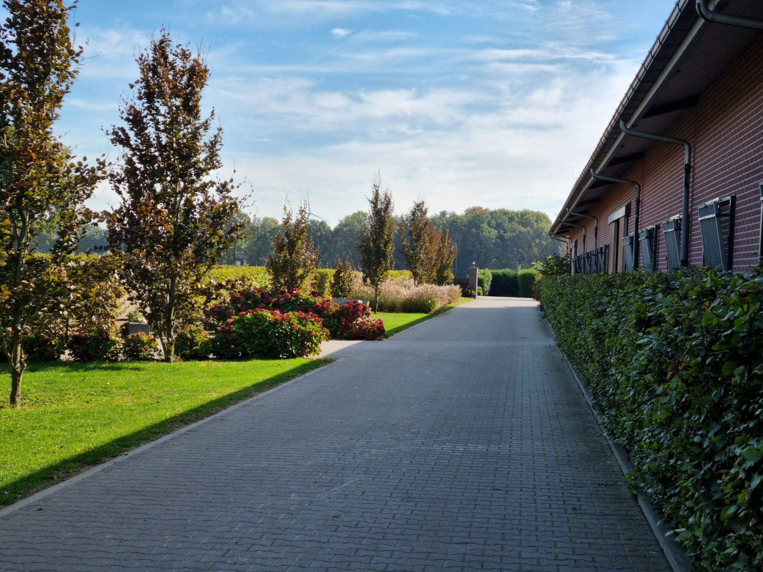 Fully Equipped Showjumping Stable in the South of The Netherlands