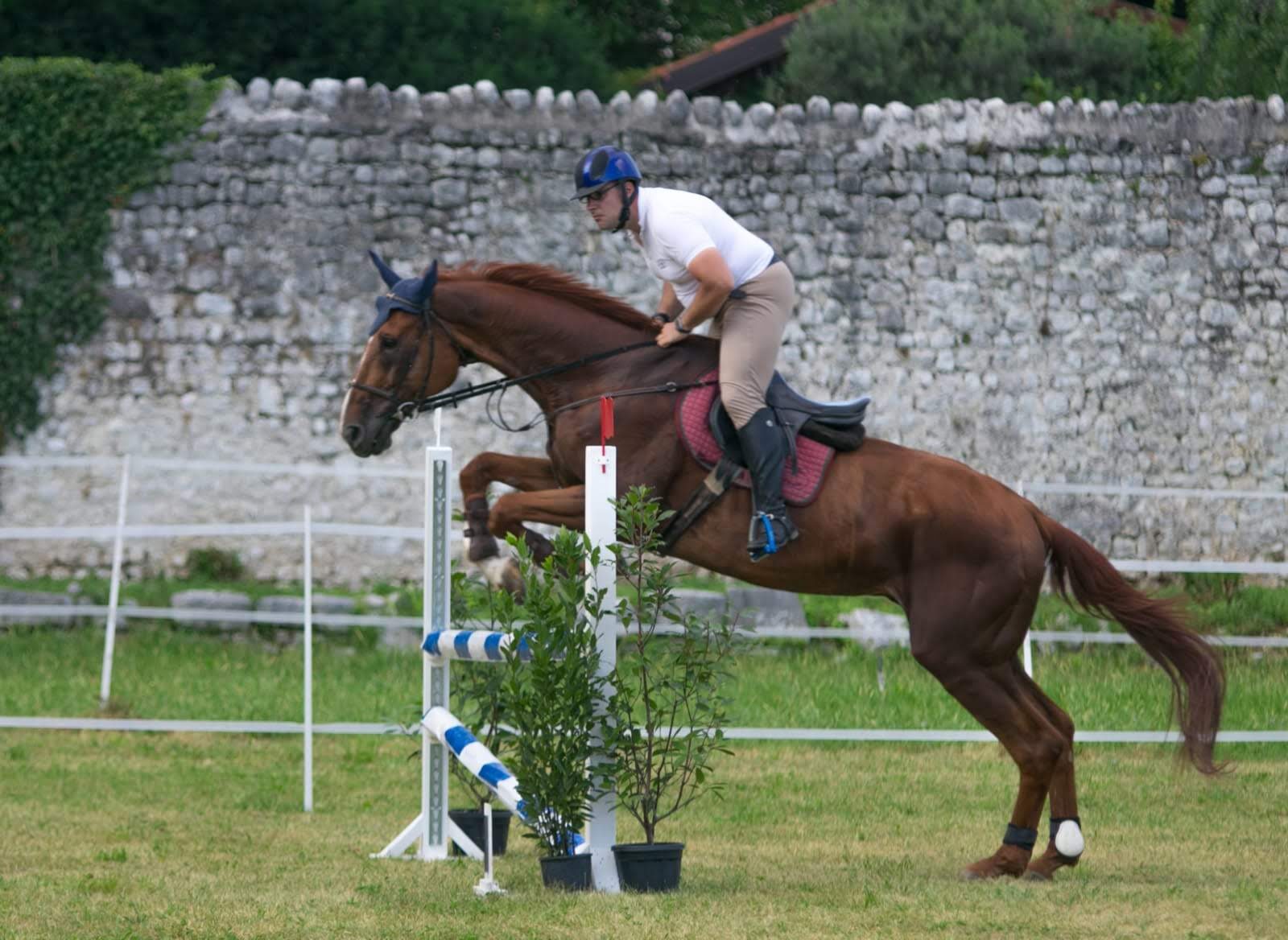 Exclusive Full Property at Royal Horse Club - Perfect for Your Horse's Needs - Image 9